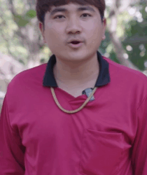 N2509144 จฉานางเตย วง ใหญ part 2