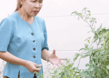 N0511138 ไม าจะเร ยกคนข เผ อกหร อคนข งกด part 2