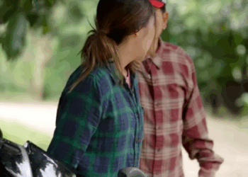 N0711527 สร ปรถใครเป นรถใคร part 2