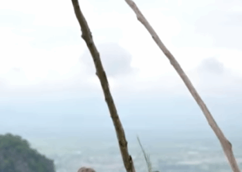 N0911541 หล อเล อกได เสมอ part 2