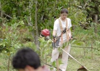 N1512232 อเทพบ ตร หล อเล อกได part 2