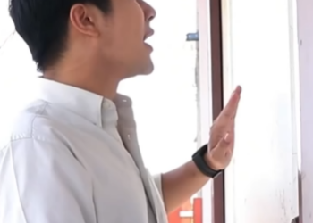 N1612164 วไม อย พาช เข าบ าน part 2