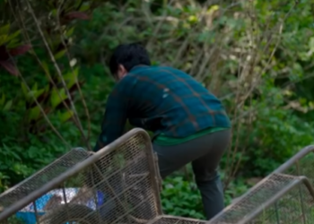 N2301281 เป นคนด ายากแล เป ดประต ยากกว าเยอะ part 2