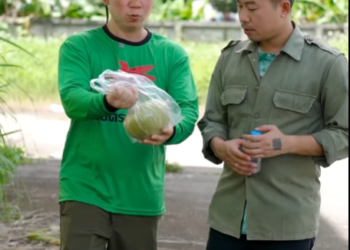 N2401546 อราคาเหม อนค แต กขาดท นเหม อนเด part 2