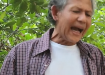 N0101272 ทางเด นคนบาป part 2