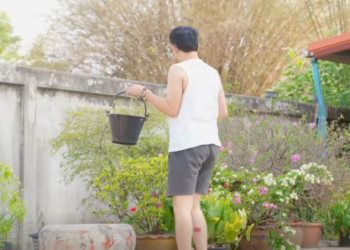 N2701302 วกะเทย EP2 #หน งส นสะท อนส งคม#หน งส น#หน งส นค ณธรรม#หน งส นสอ Part 2