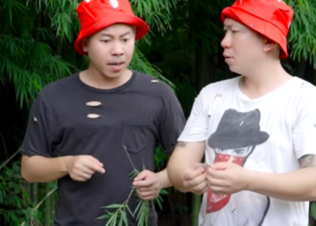 N2801571 หน อยหมวกแดง สองเกลอผ งใหญ part 2