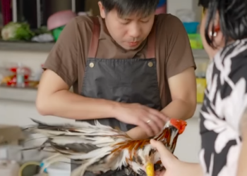 N0301324 ปล กไข งไงให ได ไก part 2