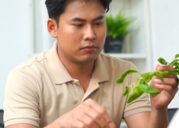 N2501209 อย าตามหา หายไป part 2