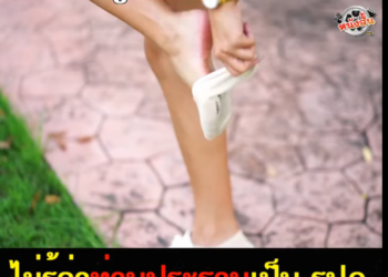 N2901623 หน งส ตอน คนเบ part 2