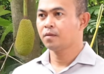 N0301349 หญ งหร อปล part 2