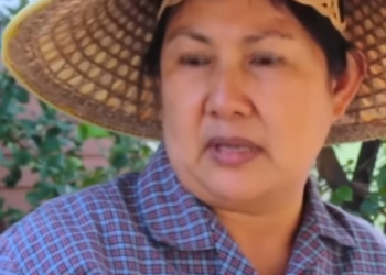 N0501298 คนกระจอก part 2