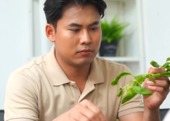 N0801455 อย าตามหา หายไป part 2