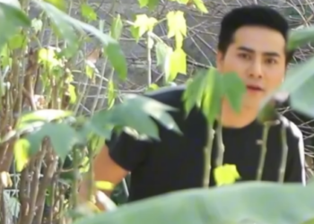 N0601321 ทางผ าน part 2