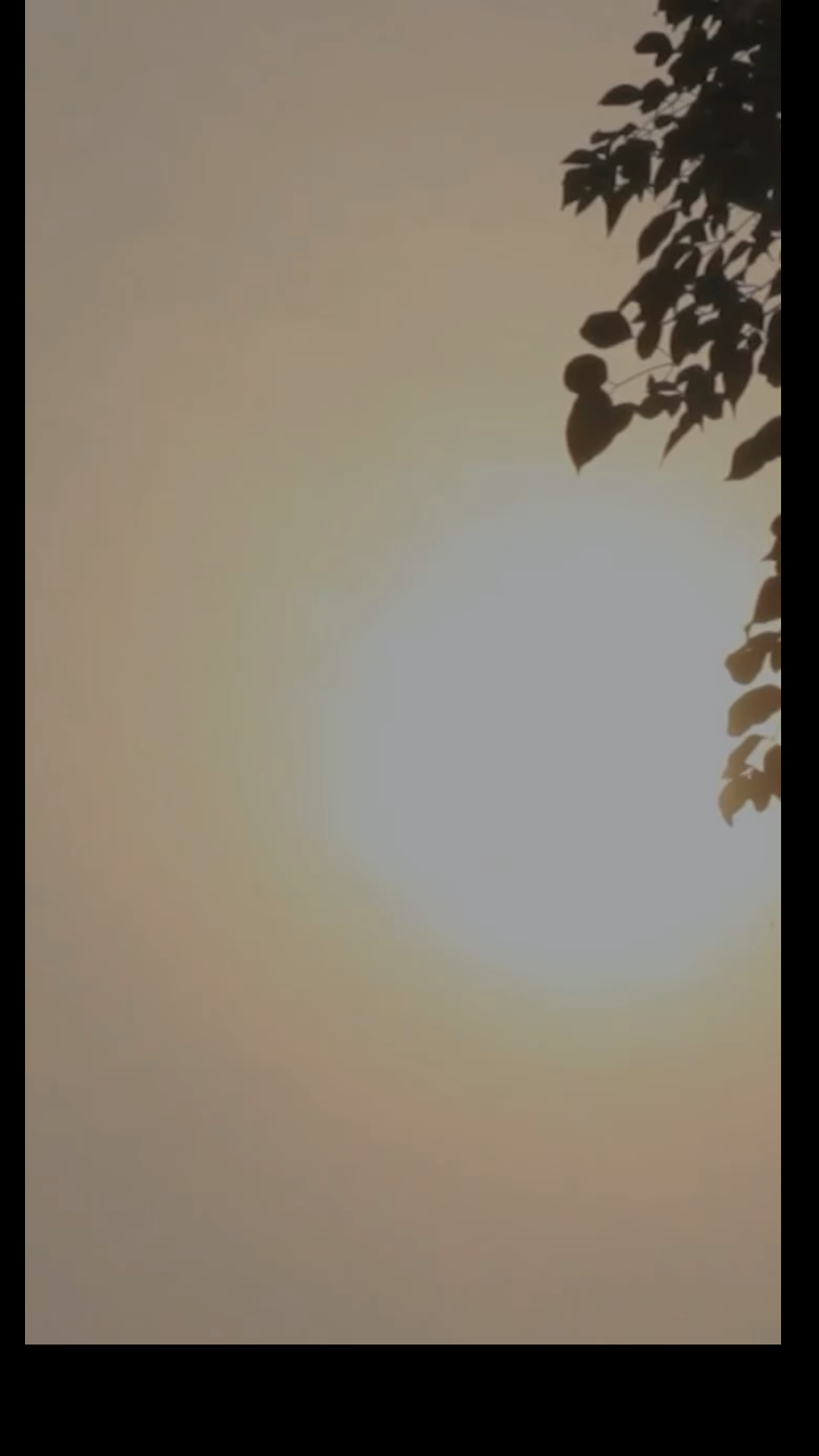 N0502013 าของคน ดก นท อะไร part 2