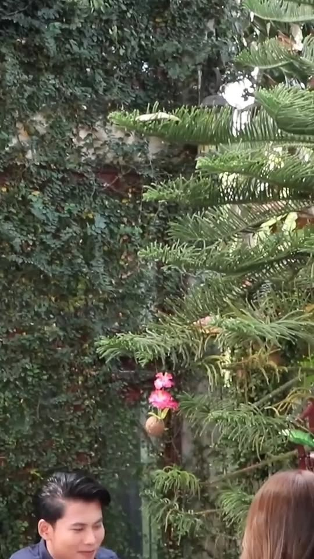 N0303833 วน ยเส องโดนเม ยส งสอน part 2