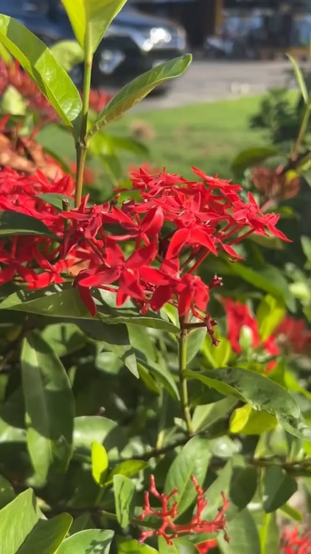 N0803416 ตรงไหนม ความส นขออย ตรงน part 2