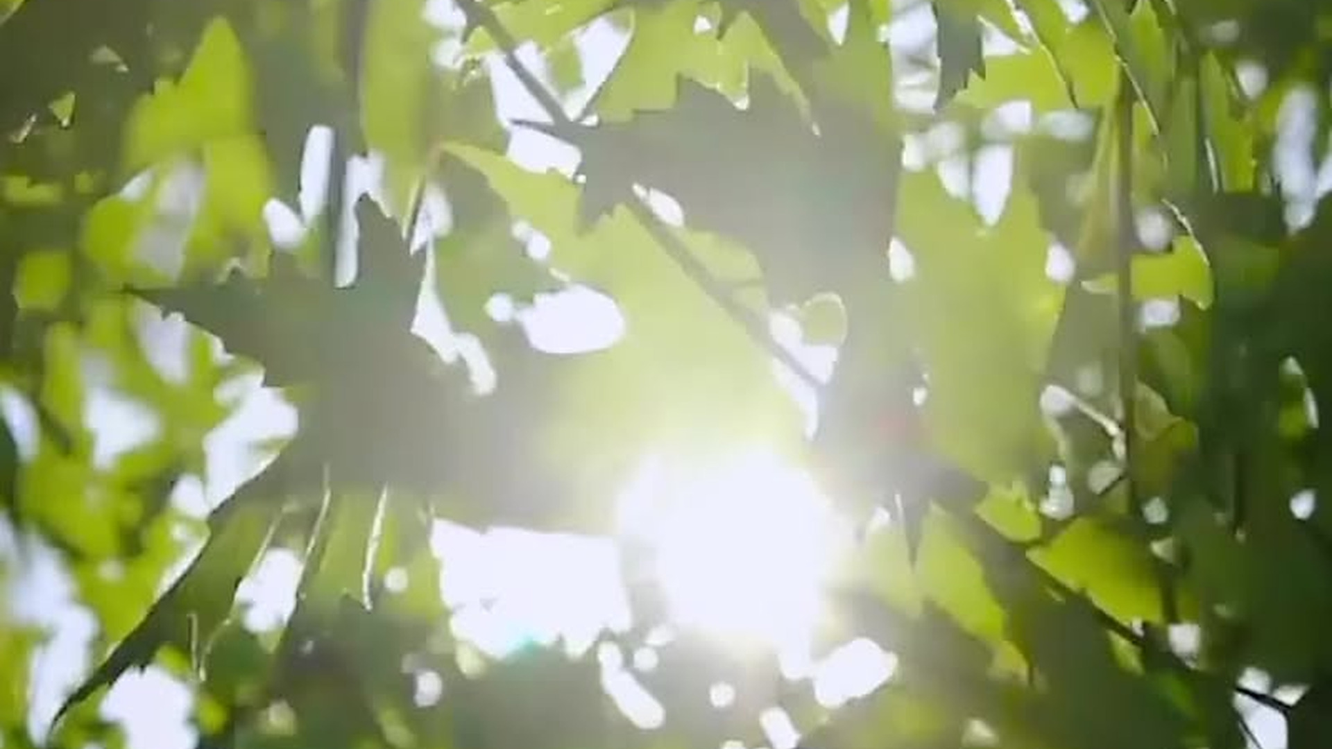 N1403746 สาวผ ดส ญญา องโดนตราหน าว าเบ ยว part 2