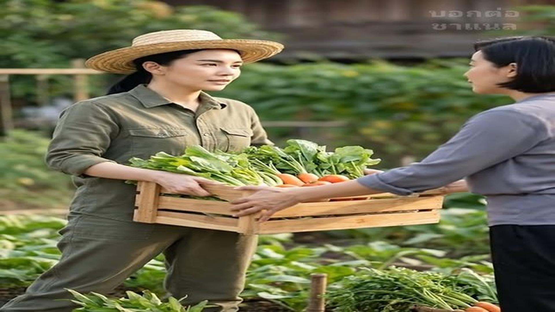 Parte 2 : N2606113_เช ดต วแม สาม 5 ป ในว นท สาม ท งไปแต งใหม ว นท ม เง นล านเขากล บมาบอก_part 2.mp4 | Meme Movie Hub